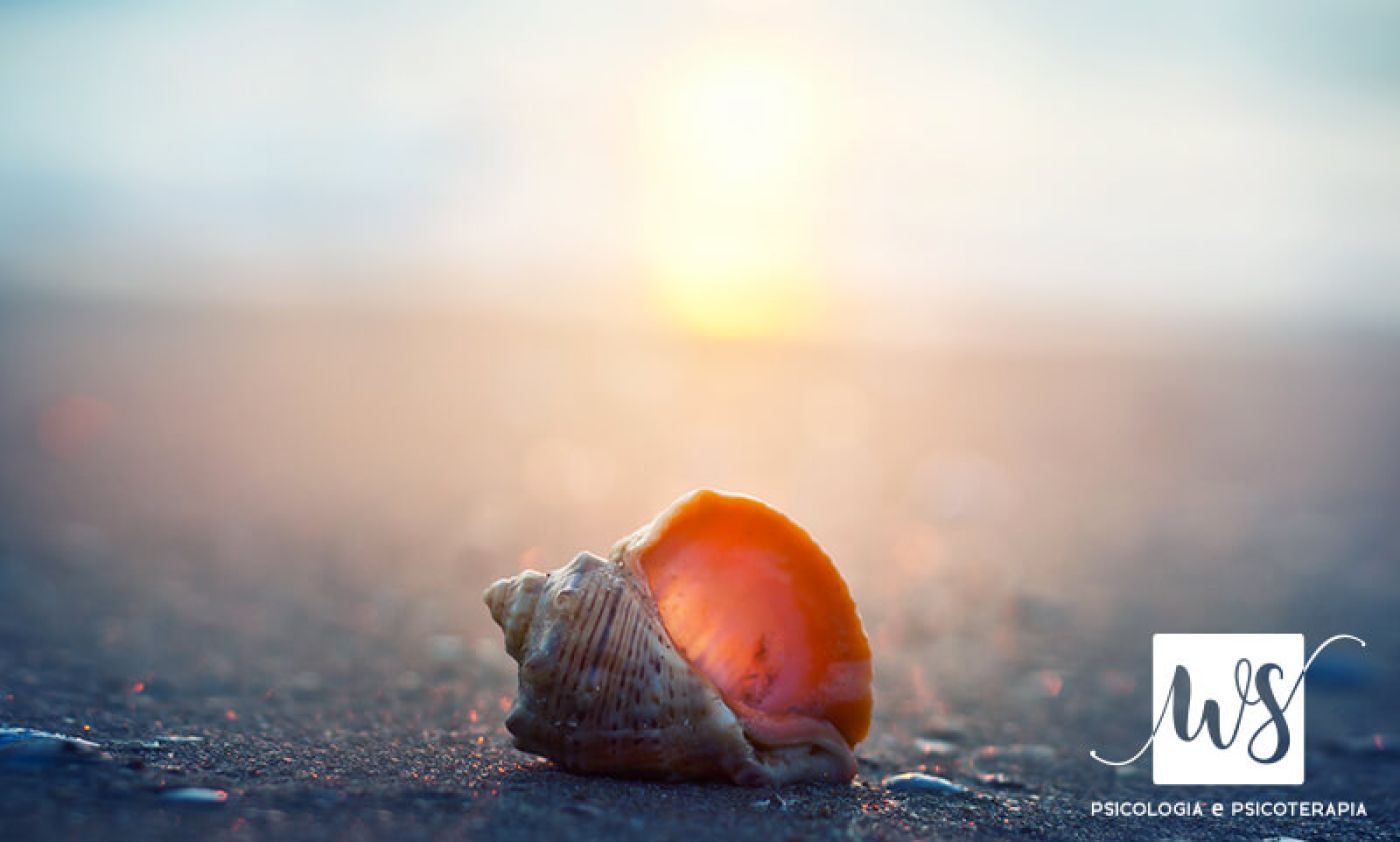 Pratica Mindfulness Treviso - Conchiglia sulla spiaggia