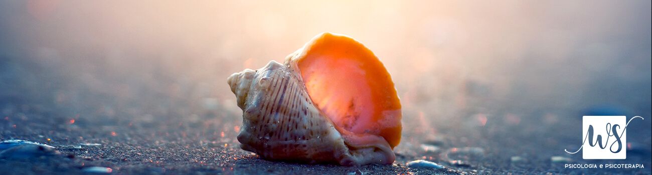 Pratica Mindfulness Treviso - Conchiglia sulla spiaggia