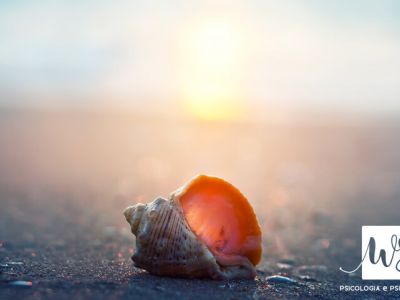 Pratica Mindfulness Treviso - Conchiglia sulla spiaggia