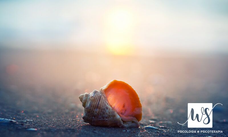 Pratica Mindfulness Treviso - Conchiglia sulla spiaggia
